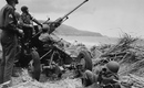 Bofors-aa-gun-algeria